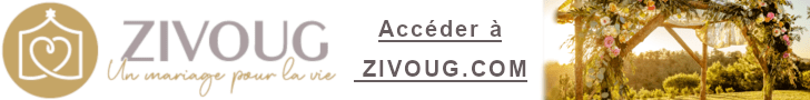 Zivoug Banner